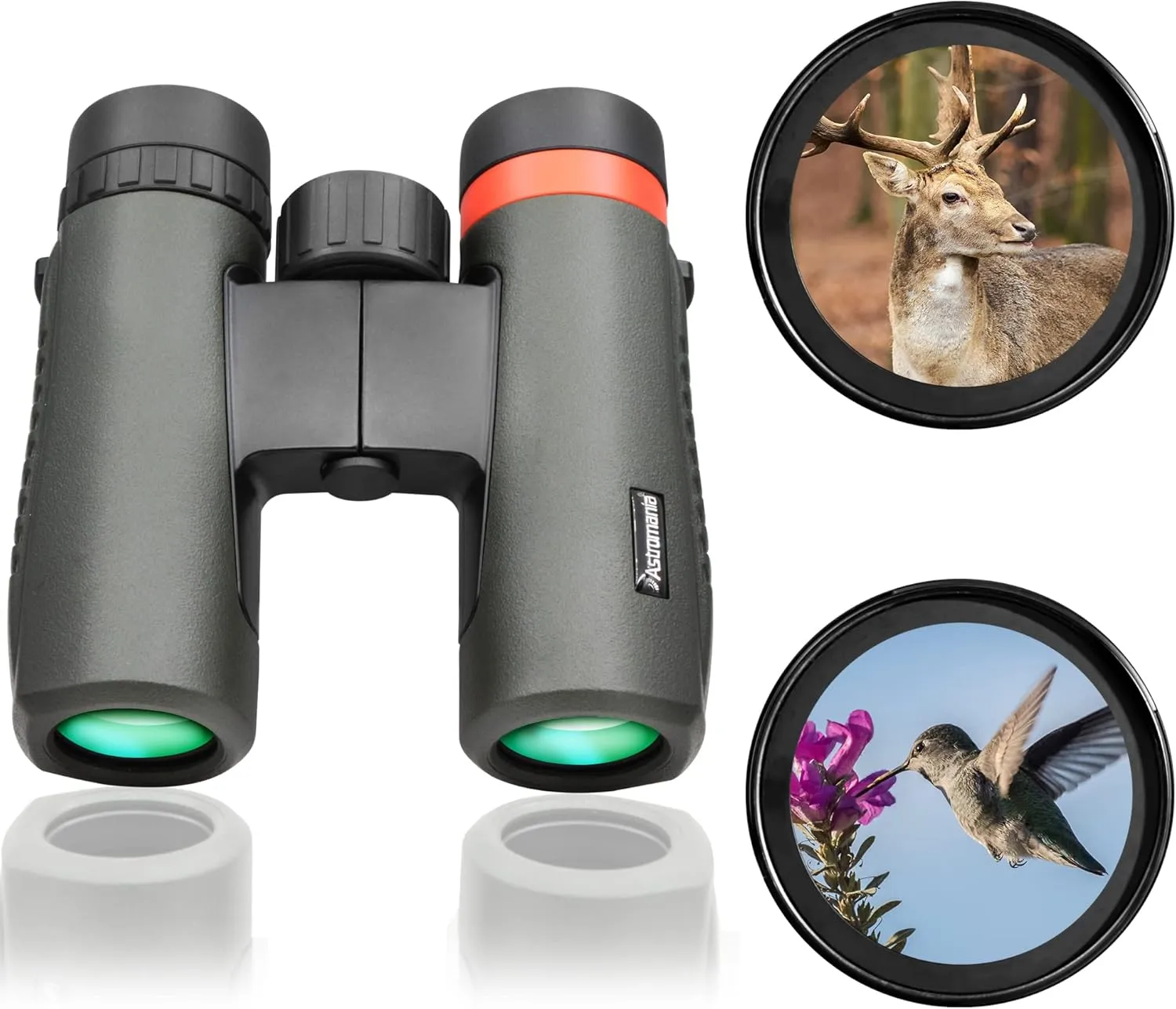 Astromania 10x26 Waterproof Compact Binoculars for Traveling, Wildlife, Camping and Sport Games, Theater and Concerts, Bird Watching