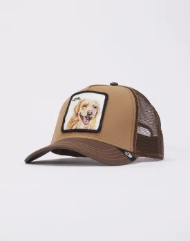 Goorin Bros The Loyal Dog Trucker Hat