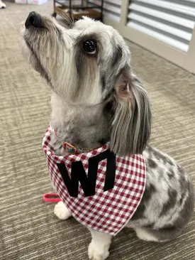 Maroon Checked Pet Scarf