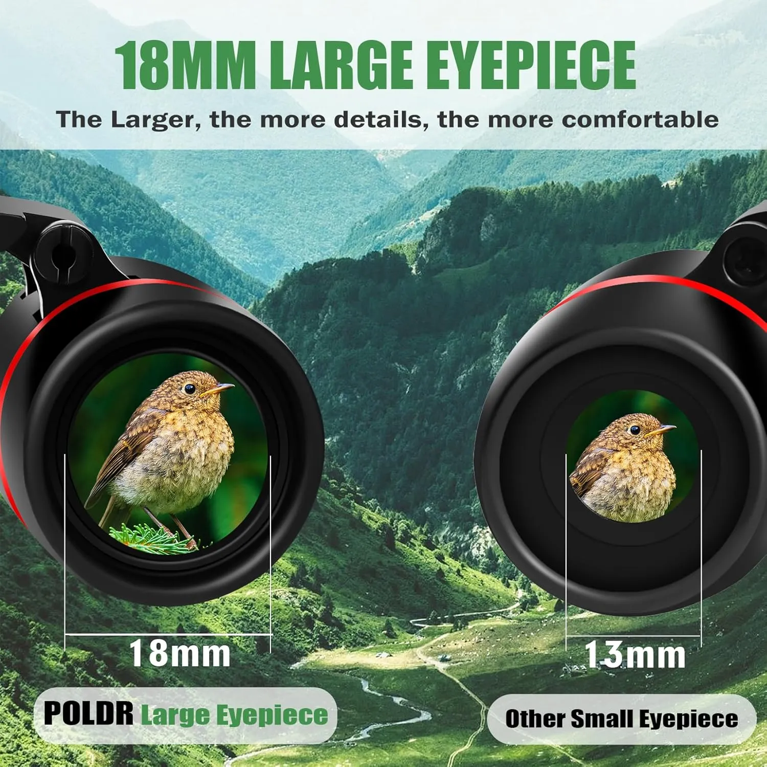 POLDR 12X30 Compact Binoculars with Large Eyepiece, Small Lightweight Binoculars for Adults Kids, Pocket Mini Binoculars for Bird Watching Traveling Opera Sports Games Sightseeing